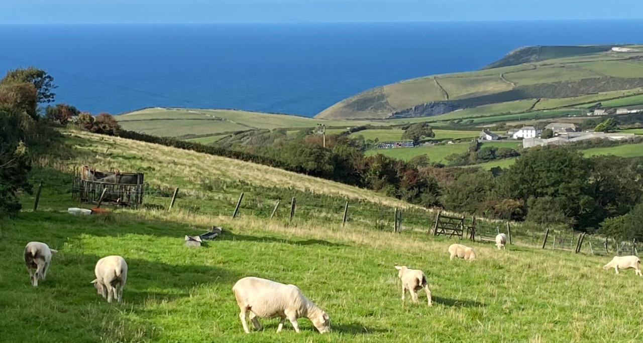 Polrunny Farm Sloe Cottage With A Sea View Boscastle Exterior photo