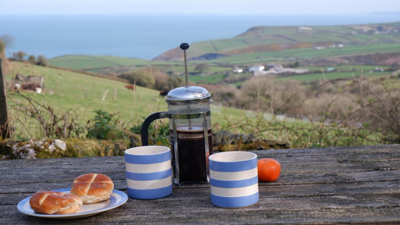 Polrunny Farm Sloe Cottage With A Sea View Boscastle Exterior photo